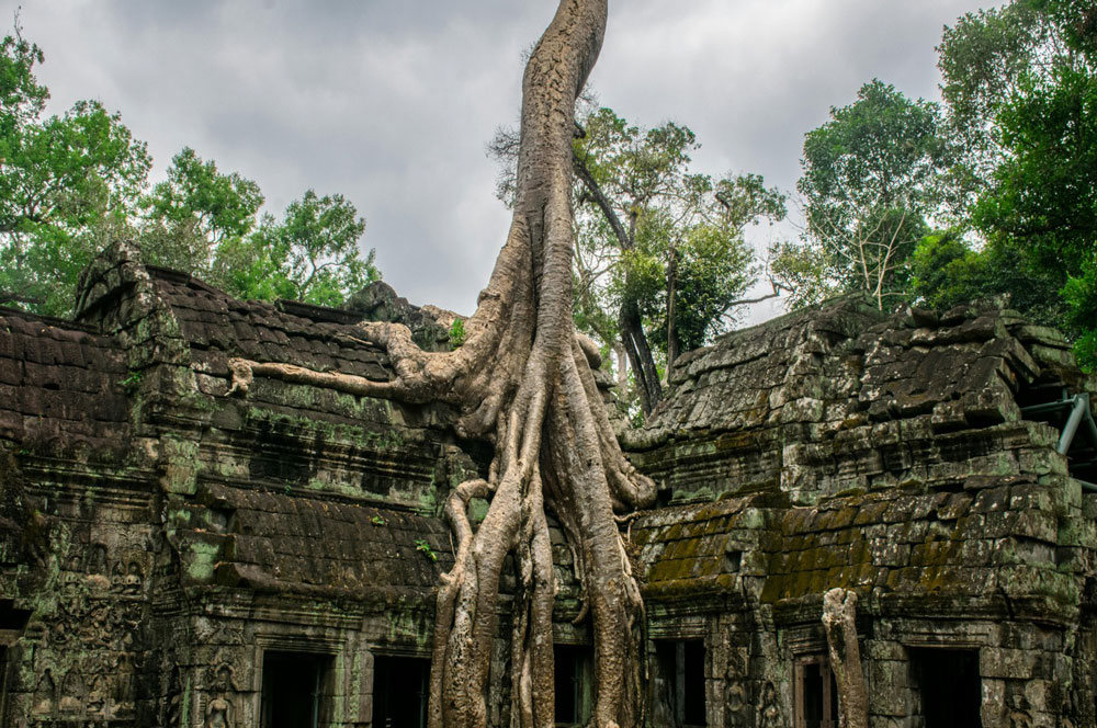 tapromh.jpg